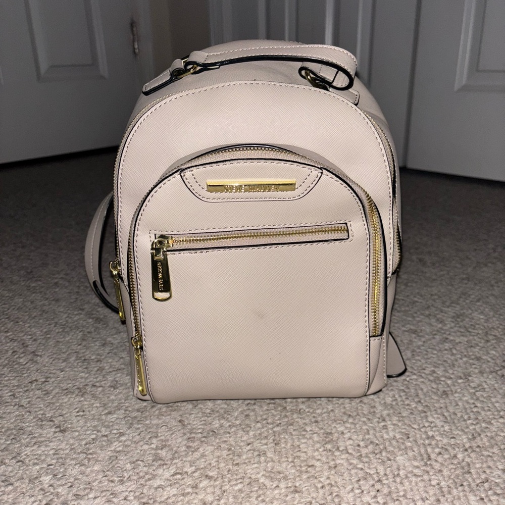 Steve Madden Bag